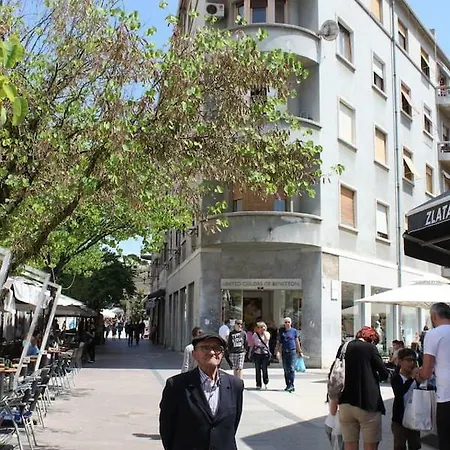 Spot On Pula Base *